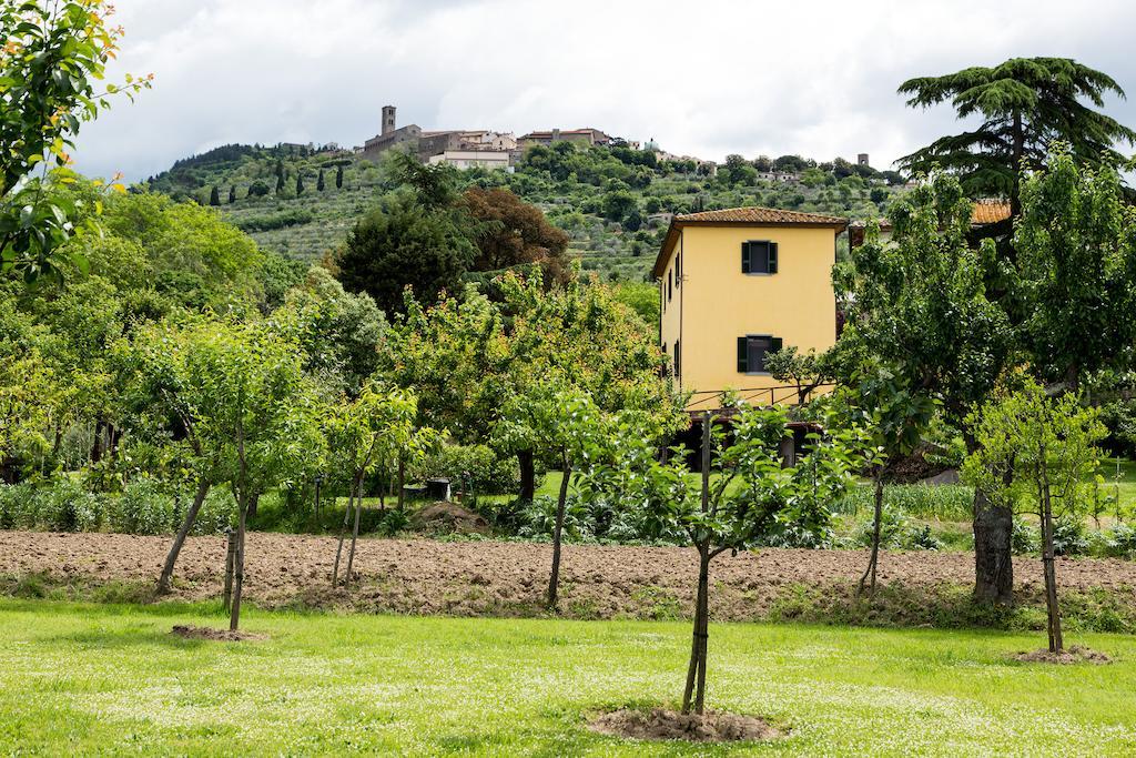 Casale Vacanze Il Granaio Cortona Exterior photo
